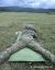 Kurz ostreľovačov Sniper Basic